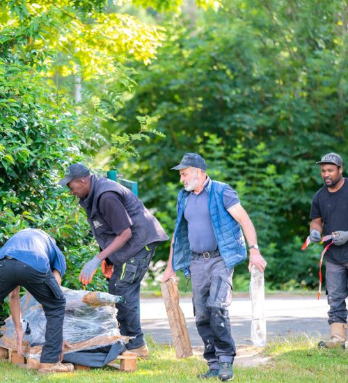 cloture-du-vexin-specialiste-cloture-portail-10